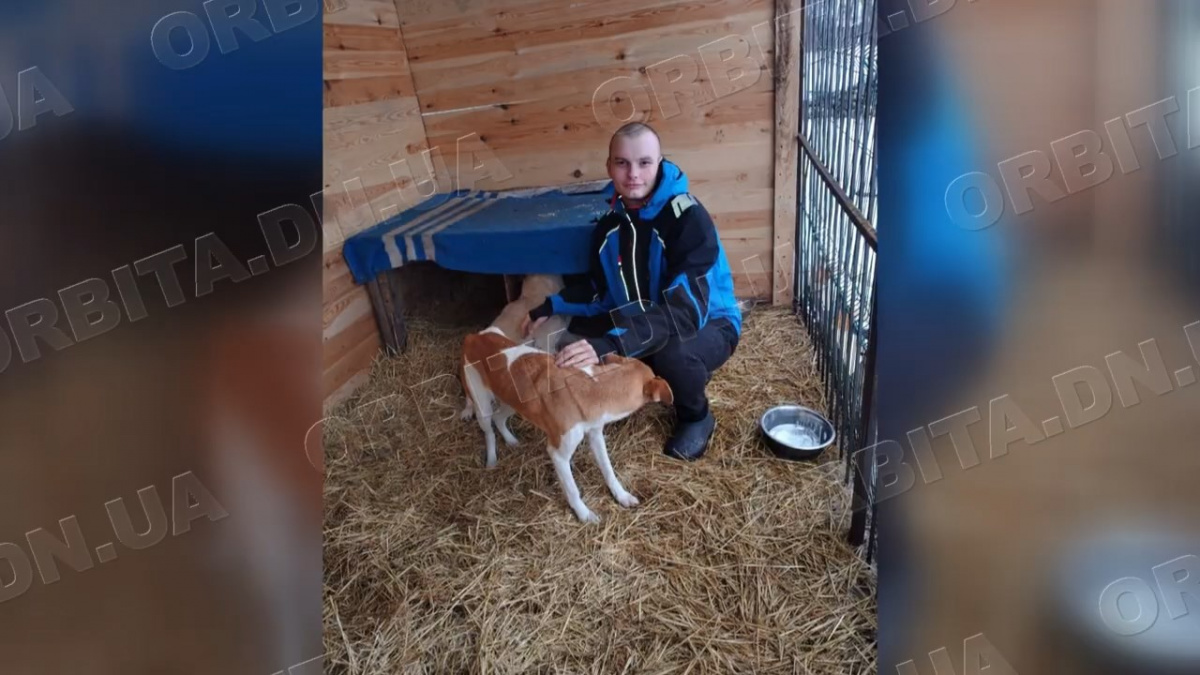 Врятовані з Донеччини: чотирилапі підопічні ГО «Білозерськ Енімалс» потребують кормів