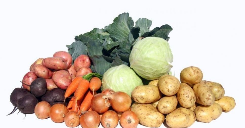 Відділ освіти Покровської міської ради придбає овочі