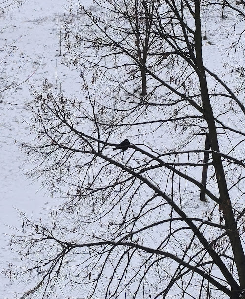 Перші вихідні 2026 року будуть з нестабільною погодою