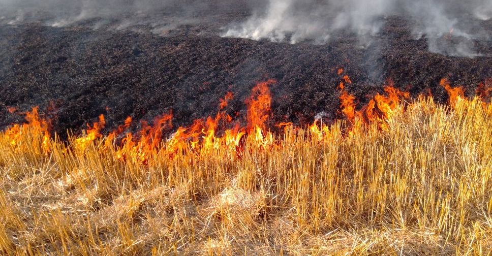 На Донеччині за добу сталося 64 пожежі на відкритих територіях