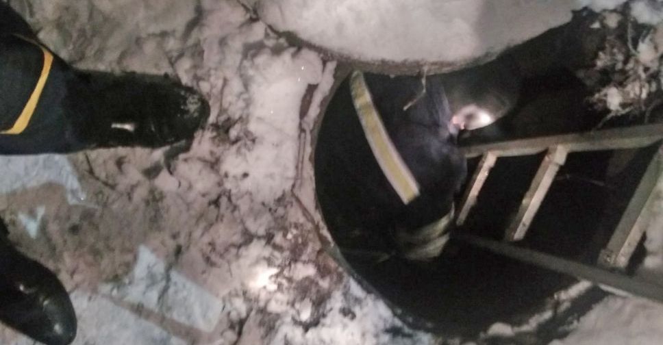 У Добропіллі бійці ДСНС врятували собаку, який впав у колодязь теплотраси