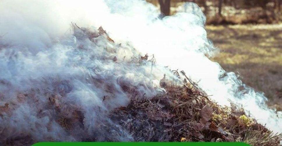 Самовільне спалювання листя та сухої трави – поза законом