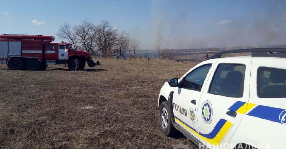 Правоохоронці Донеччини встановили підпалювача комишу