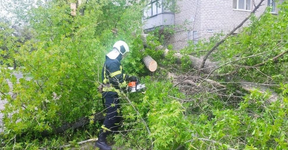Сильний вітер наробив лиха: у Покровську на дорогу впало дерево, а в районі зірвало навіс