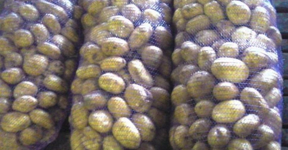 Картопля на 77 тисяч гривень: мешканці Покровська знову потрапили на гачок інтернет-продавців
