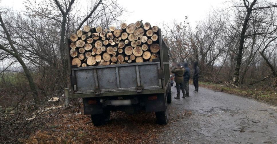 У Покровську поліцейські припинили незаконну «чистку лісу»