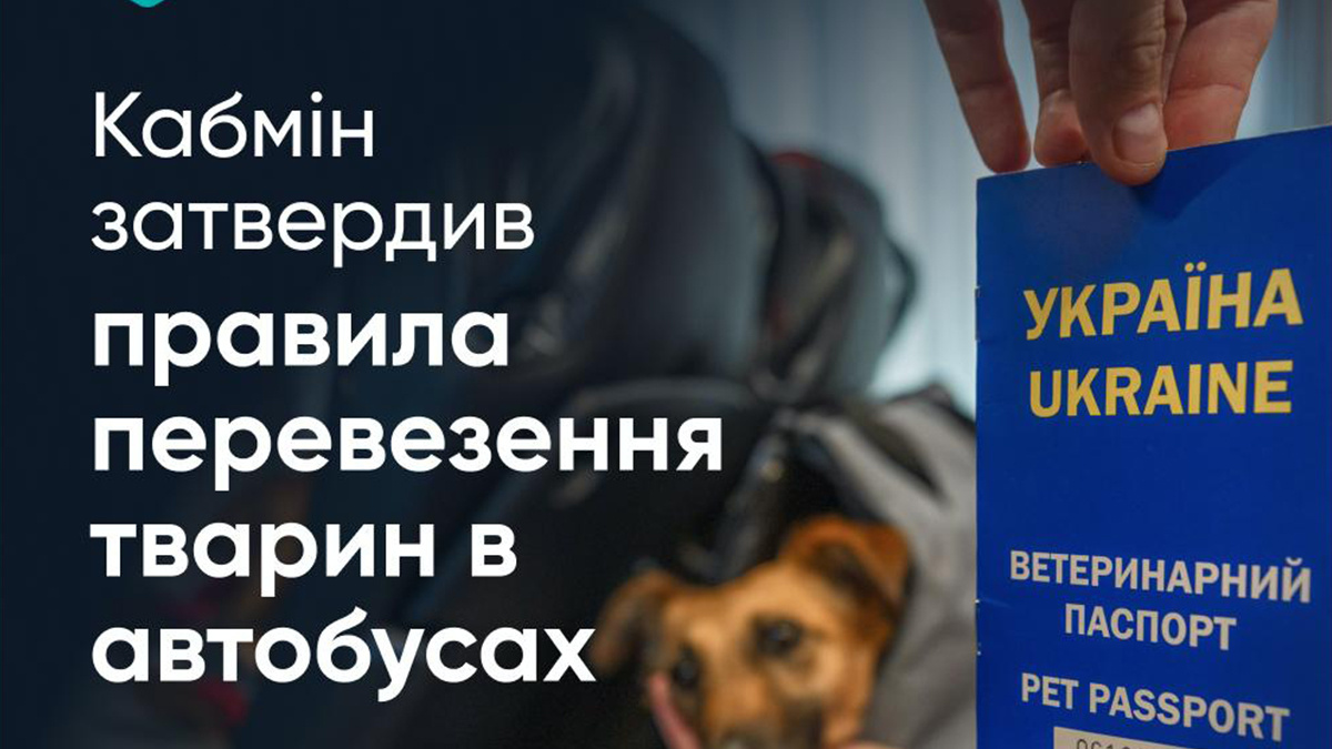 Кабмін затвердив правила перевезення тварин у міжміських та міжнародних в автобусах