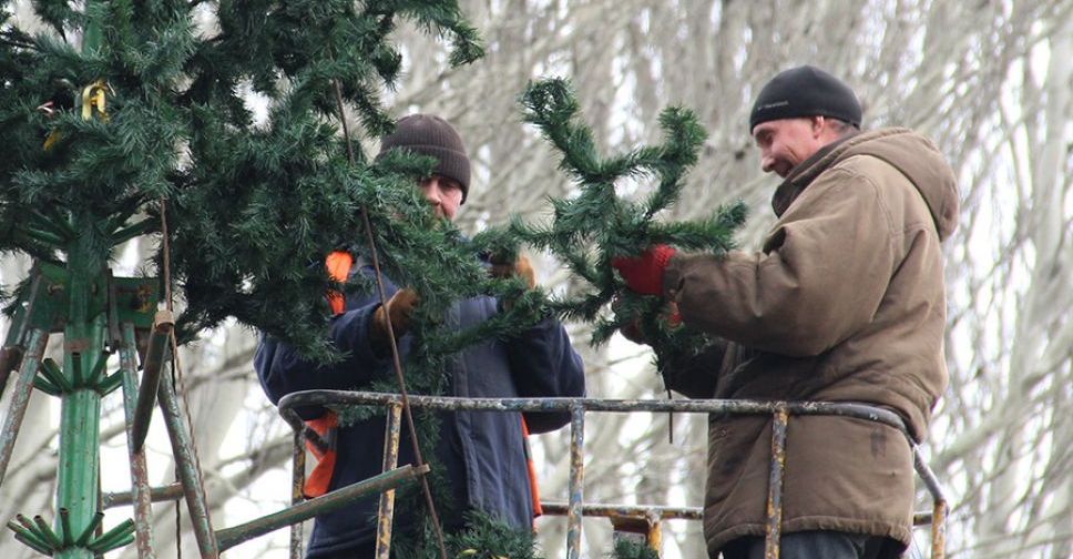 Покровск покупает новогоднюю елку за 1 миллион