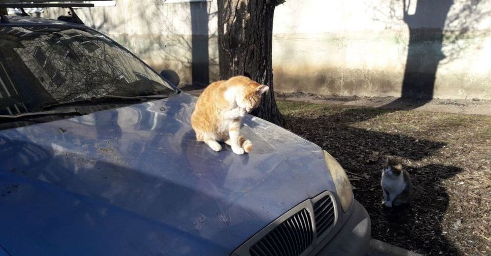 Погода в Покровске на сегодня, 17 февраля