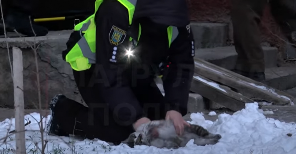 У Львові патрульні повернули до життя кішку, яка постраждала під час пожежі