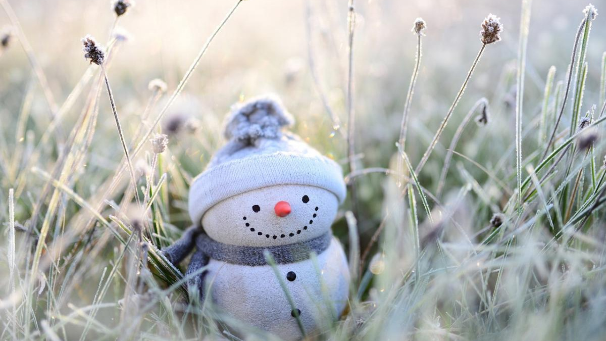 Тиждень з морозцем: синоптики спрогнозували погоду на 1-7 січня