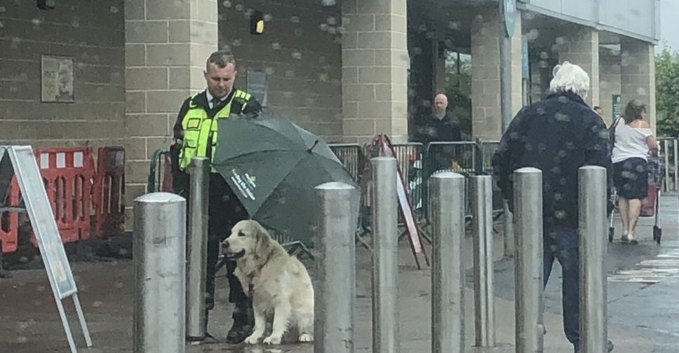 Охранник супермаркета спрятал под своим зонтом собаку, ожидающую хозяина под дождем