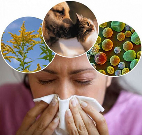 Сезонна алергія: що важливо знати та як з нею впоратися