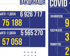 В Україні за вчора виявили 9 666 заражених коронавірусом