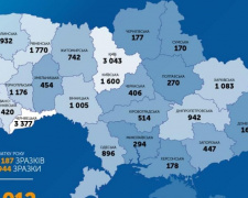 Кількість випадків COVID-19 в Україні перевищила 24 тисячі