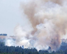 В Запорожье пылает Хортица: спасатели пытаются потушить пожар