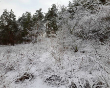 В Україні похолодає до -20: метеоролог назвала дату