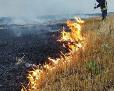 В Покровском районе снова горело поле