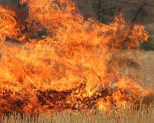 За минулу добу рятувальники 41 раз залучалися до гасіння пожеж на відкритих територіях Донеччини