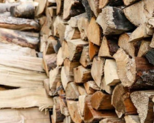Безкоштовні дрова мешканцям прифронтових територій почнуть доставляти вже наступного тижня