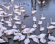 На вихідних 10-11 січня у більшості областей України утримається нестійка холодна погода