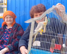 Рятуються з-під обстрілів: транзитний пункт у Павлограді приймає десятки евакуйованих