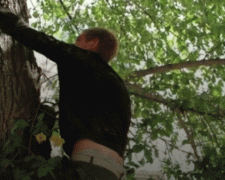 Украинский Тарзан. Во Львове пьяный водитель, спасаясь от полиции, залез на дерево
