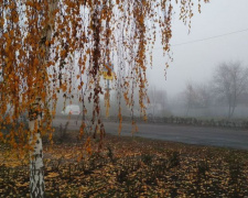 Погода в Покровске на сегодня, 12 ноября