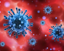 В Україні зареєстровано перший випадок коронавірусу «Пірола»: що про нього відомо