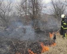 На Донеччині палає суха рослинність