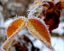 Погода в Покровске на сегодня, 11 декабря