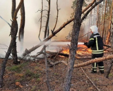 Уряд виділив майже 96 мільйонів рятувальникам, які боролись з пожежами на Луганщині