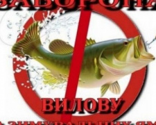 На Донеччині з 1 листопада заборонять вилов риби на зимувальних ямах