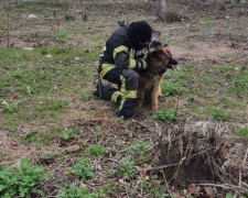У Покровську рятувальники вилучили із занедбаного колодязя собаку