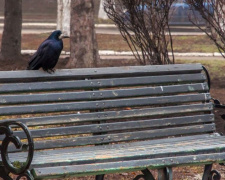 Погода в Покровске на сегодня, 17 января