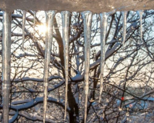 Погода в Покровске на сегодня, 23 февраля