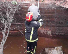 В Мирнограде ребенок упал в шахтный шламоотстойник