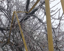 На Донеччині зафіксовано 8 випадків падіння дерев на газопроводи. Половина – в Покровську