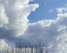 Погода в Покровске на сегодня, 16 апреля