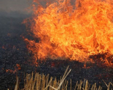За минулу добу на Донеччині виникло 14 пожеж на відкритій території
