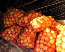 Детским домам Покровской громады доставят яблоки и саженцы деревьев