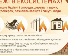 Рятувальники Донеччини закликають громадян: дотримуйтесь правил пожежної безпеки в природних екосистемах