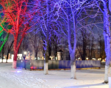 В парке «Юбилейный» Покровска появились разноцветные деревья