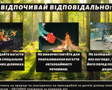 Знищити не можна зберегти: рятувальники – про запобігання пожеж у лісі