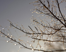 Тиждень з «плюсом»: про погоду для Покровська на 18-24 грудня повідомили синоптики