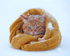 Люті морози на початку лютого: прогноз погоди на 2-9 лютого 2026 року