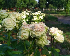 Погода в Покровске на сегодня, 6 июля