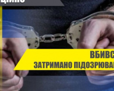 Поліцейські Селидового затримали чоловіка за скоєння умисного вбивства