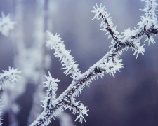 Міцні нічні морози триватимуть в Україні впродовж тижня 12-18 січня
