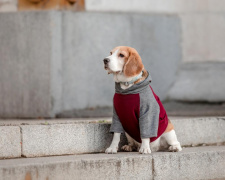 Очікується потепління та майже без опадів: прогноз погоди на тиждень 15-21 грудня